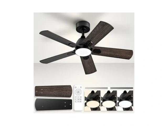 Fujibonny 42-inch Ceiling Fans With Lights Remote… Code
