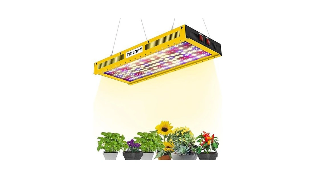 Verified image for post 173526