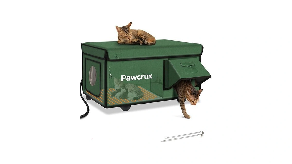 Verified image for post 173800