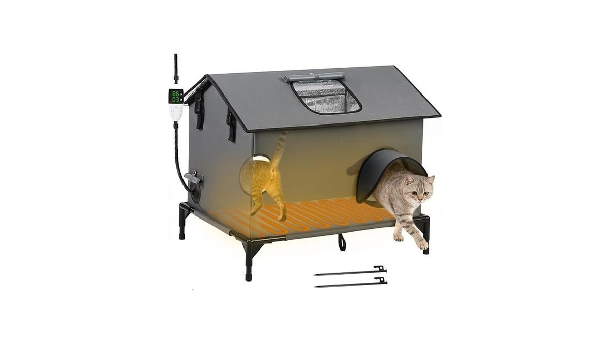 Verified image for post 174070