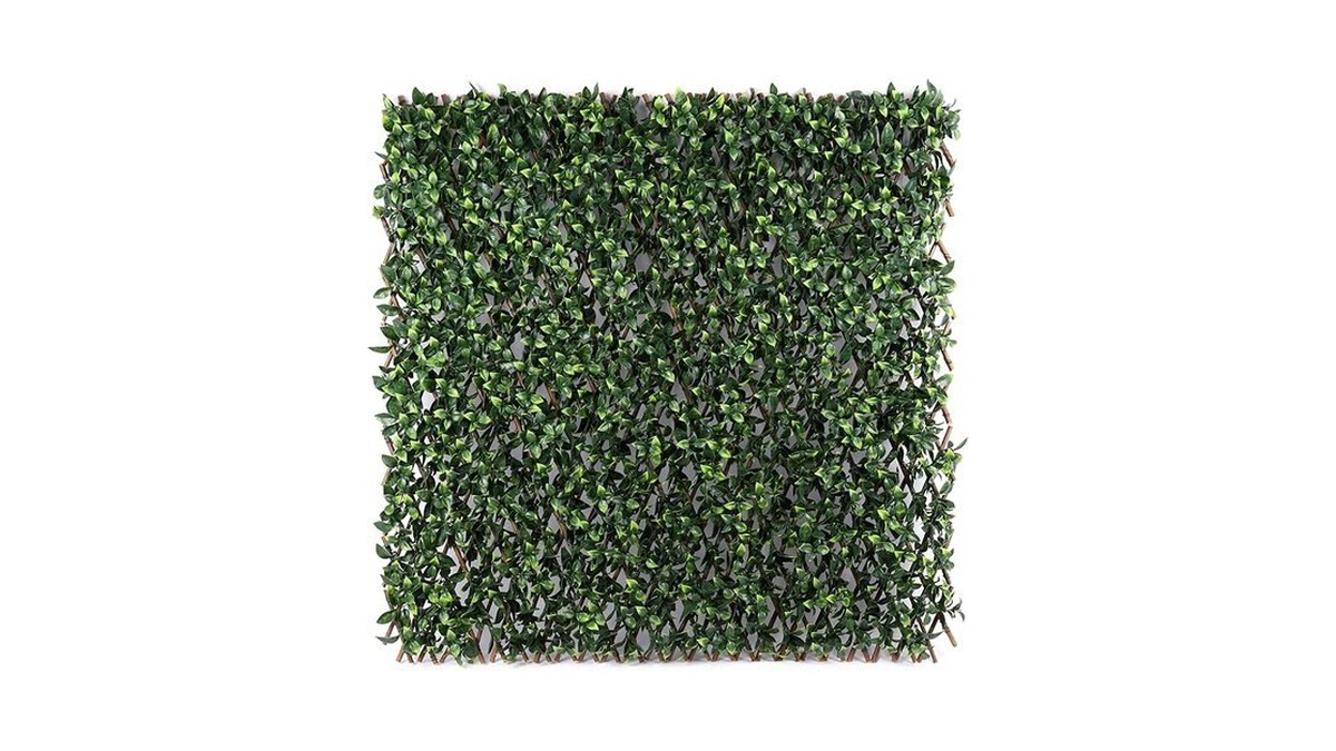 Verified image for post 174122