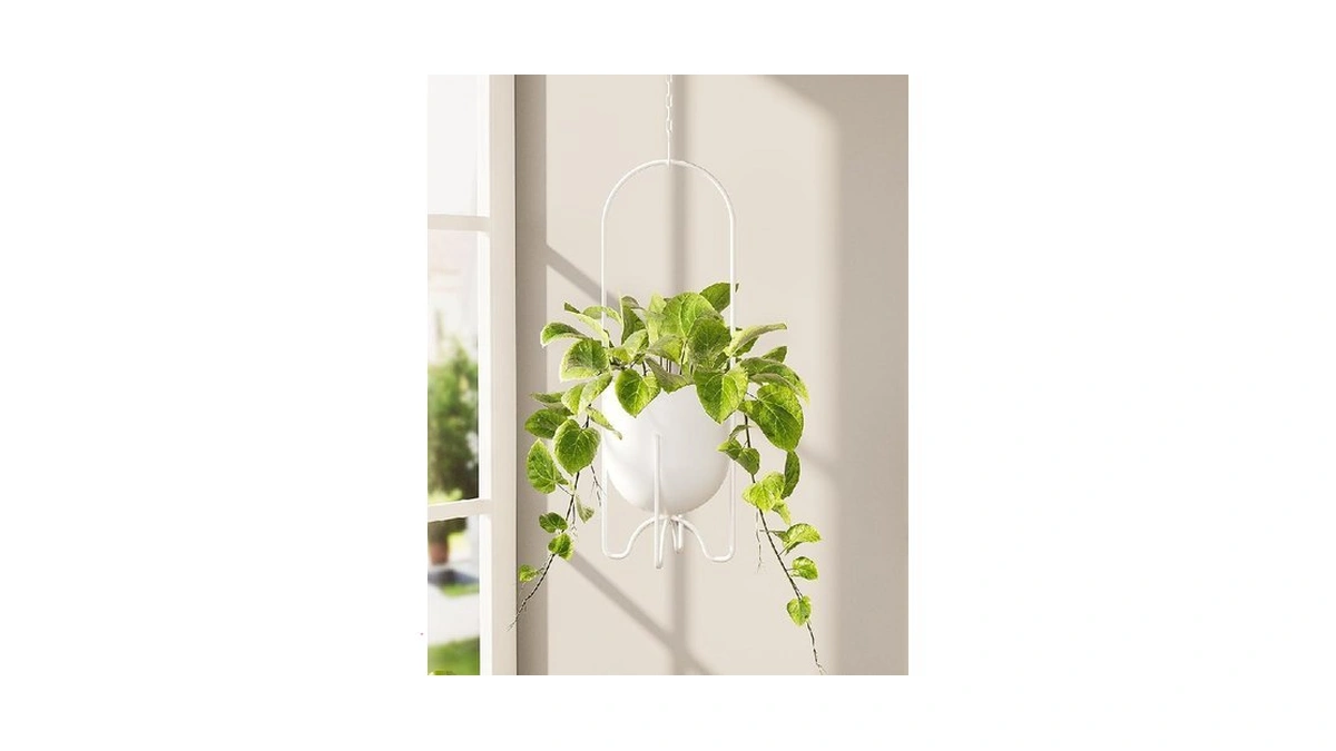 Verified image for post 174144