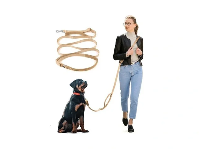 Wisedog 16 Ft Hands Free Dog Leash Comfort And… Coupon