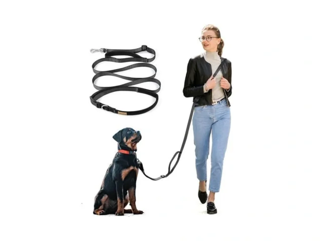 Wisedog 9 5 Ft Hands Free Dog Leash Comfort And… Coupon