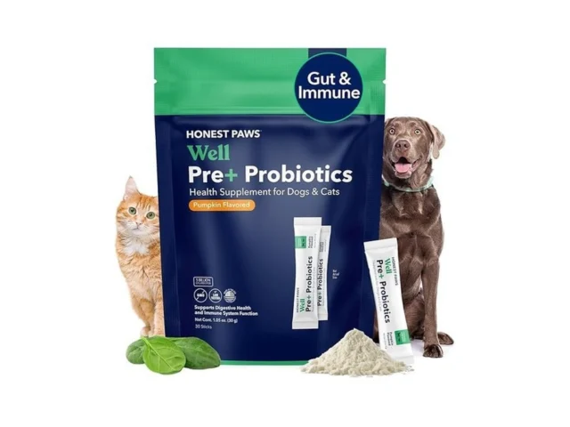 Honest Paws Probiotics For Dogs – Dog Digestion Gut…