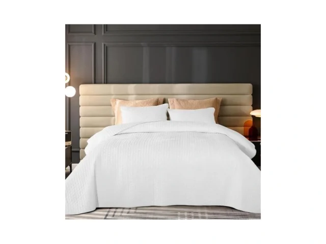 Rosecret Reversible White Velvet Quilt Twin Size… Coupon