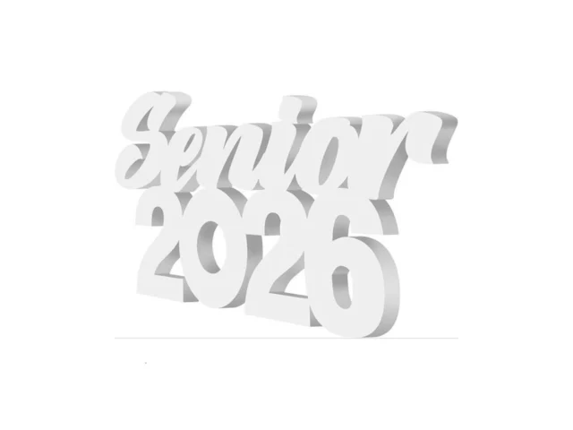 Yaomiao Senior 2026 Sign Graduation Decorations… Coupon