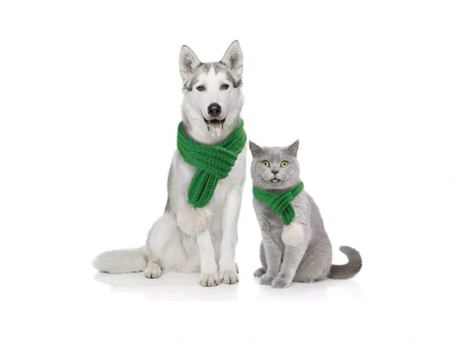 Nacoco Christmas Dog Knitted Scarf With White… Code