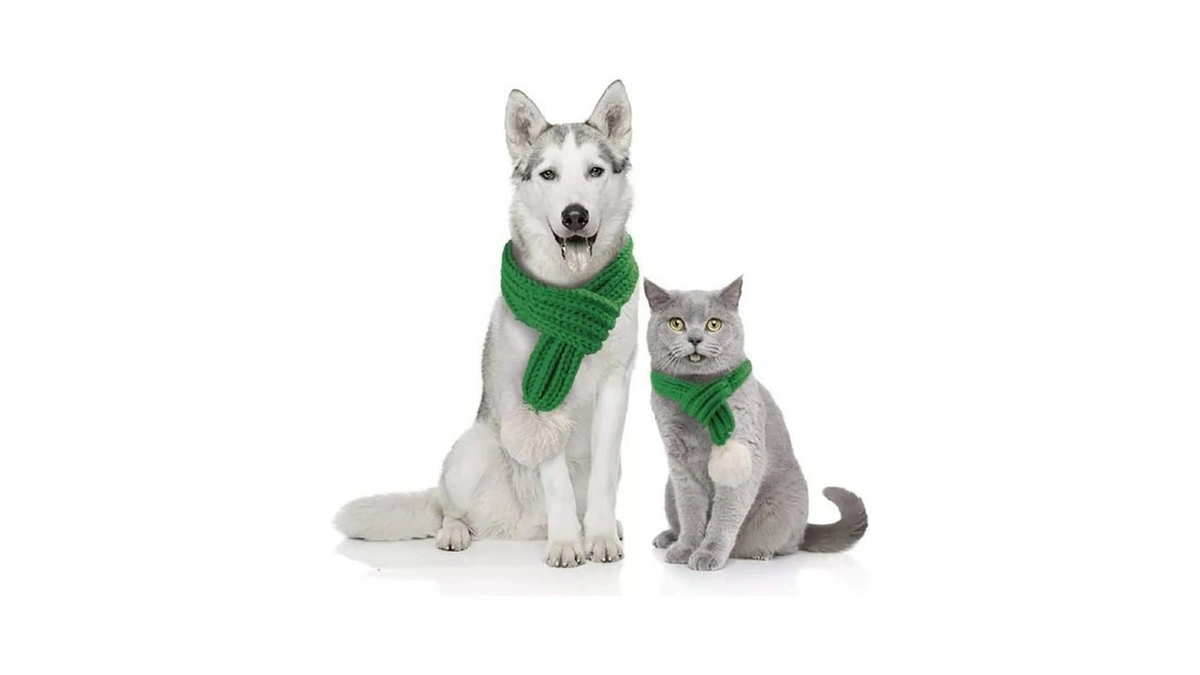 Verified image for post 174690