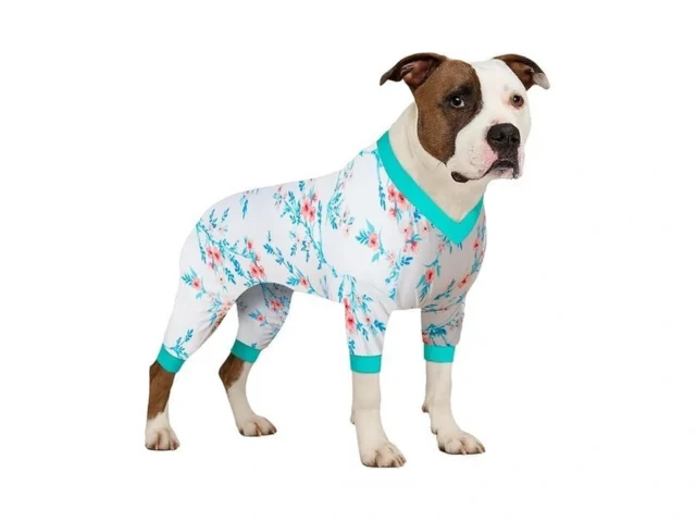 Lovinpet Large Big Bodysuit For Dogs – Post Surgery… Code