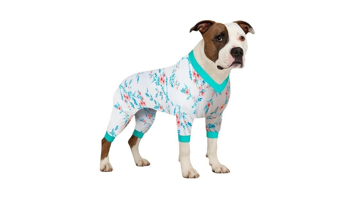 Verified image for post 174862