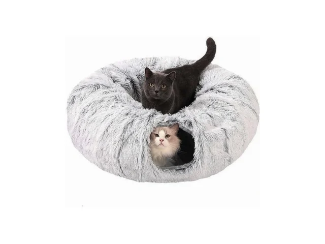Clkhowl Cat Tunnel Bed For Indoor Cats – Cute Cat… Code