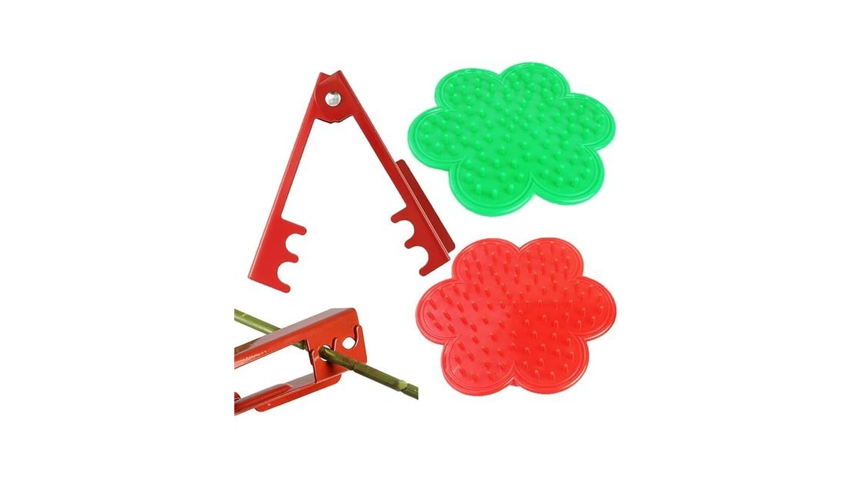 Verified image for post 174932