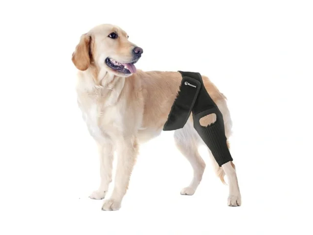 Petcove Dog Knee Brace For Torn Acl Hind Leg… Coupon