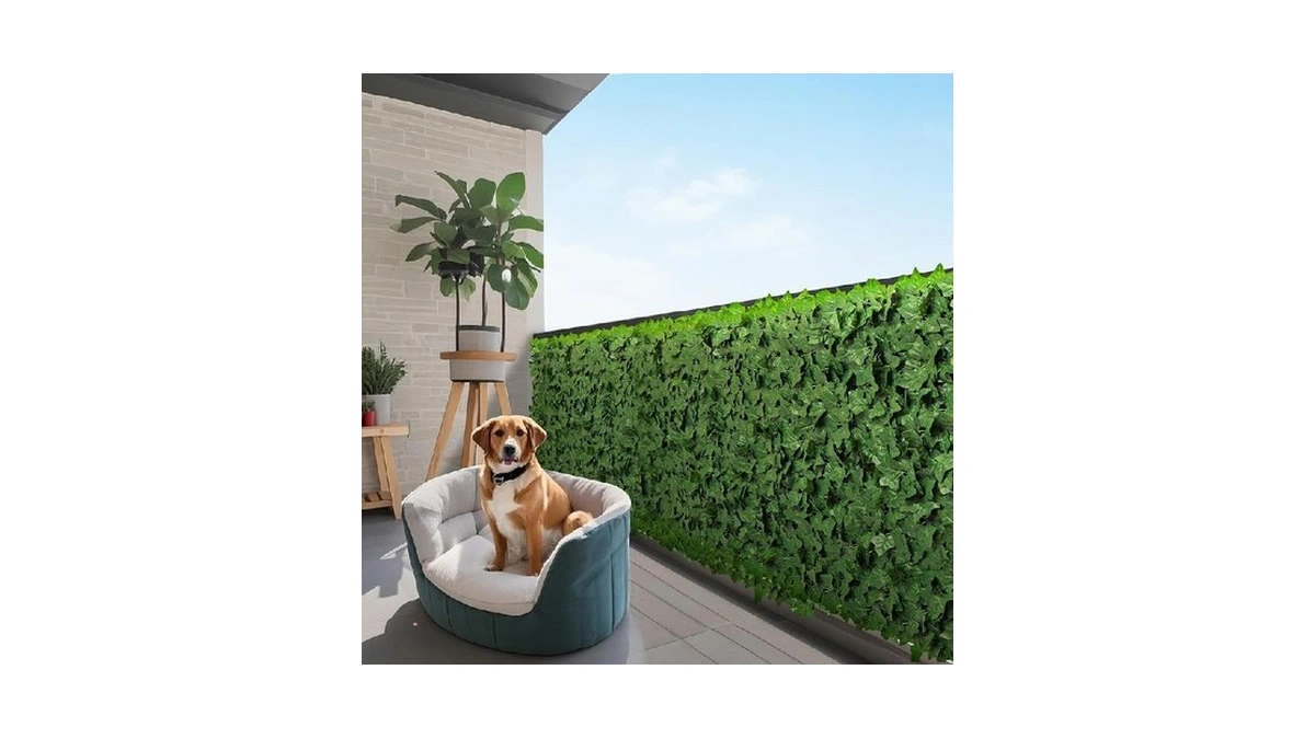 Verified image for post 175252