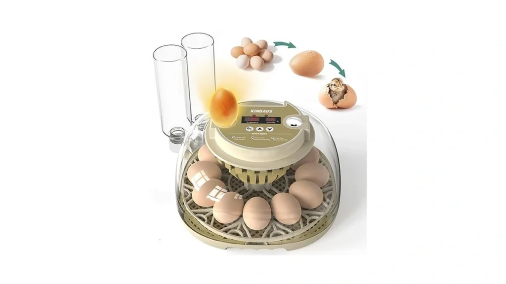 Verified image for post 175574