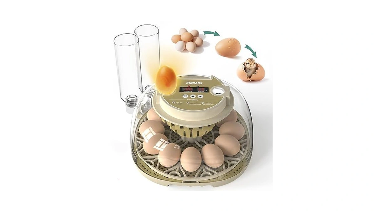 Verified image for post 175574