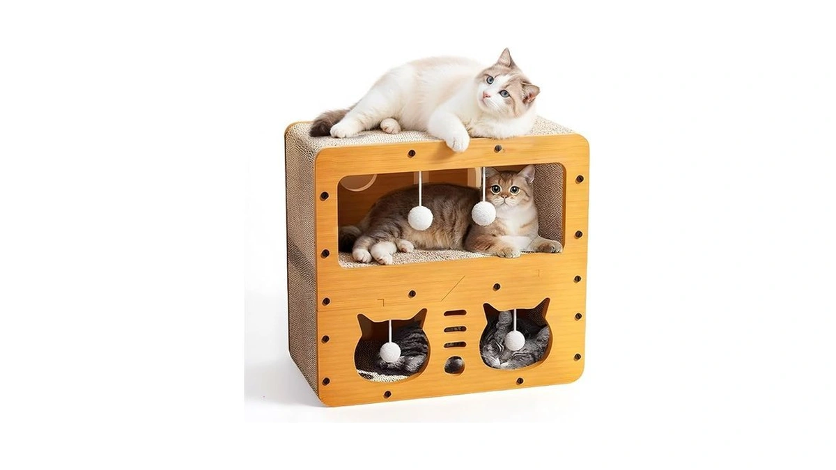 Verified image for post 176586