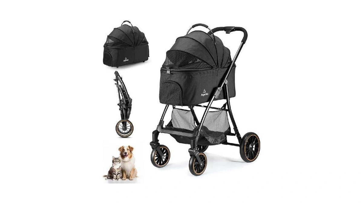 Verified image for post 176870