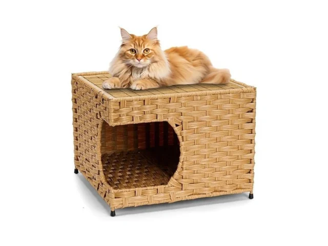 Cat House For Indoor Cats -handwoven Rattan Cozy… Code