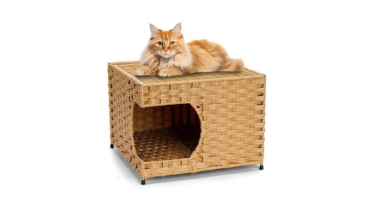 Verified image for post 176930