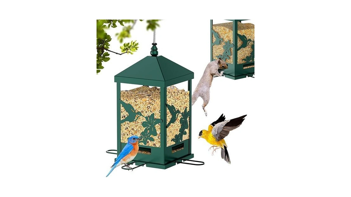 Verified image for post 177150