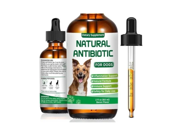 Antibiotics For Dogs Natural Antibiotics For Dogs… Coupon