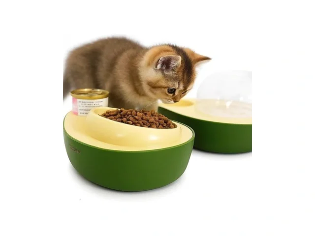 Cat Food And Water Bowl Avocado Cat Bowl With Water…