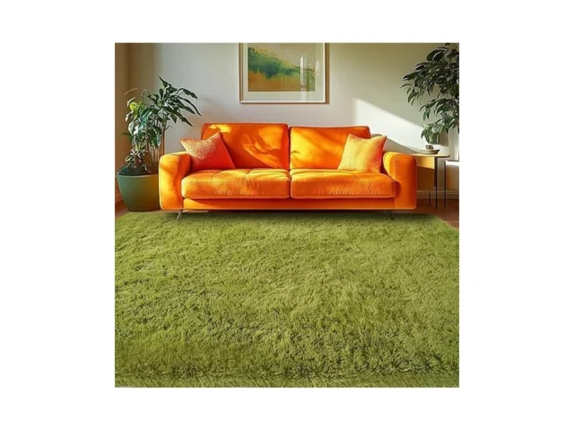 Caiyuecs 4×6 Green Area Rug For Bedroom Fluffy Shag… Code