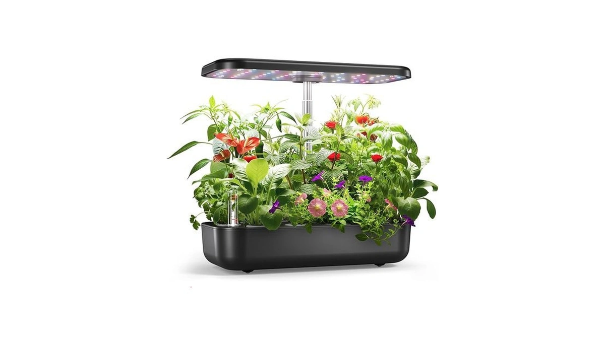 Verified image for post 179702