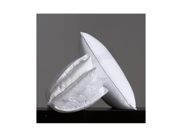 Three Geese Adjustable Layer Pillows Assembled 3 In…