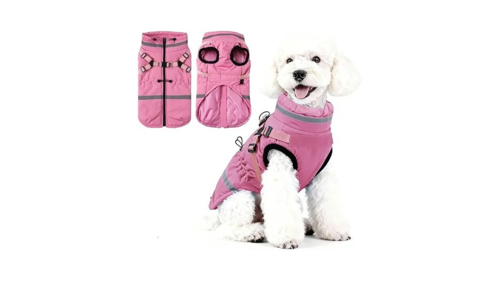 Verified image for post 179730