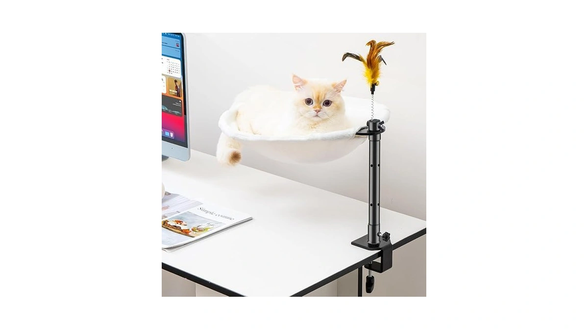 Verified image for post 179800