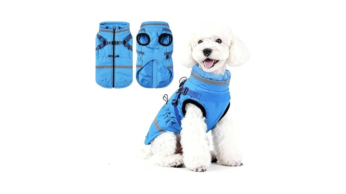 Verified image for post 179804