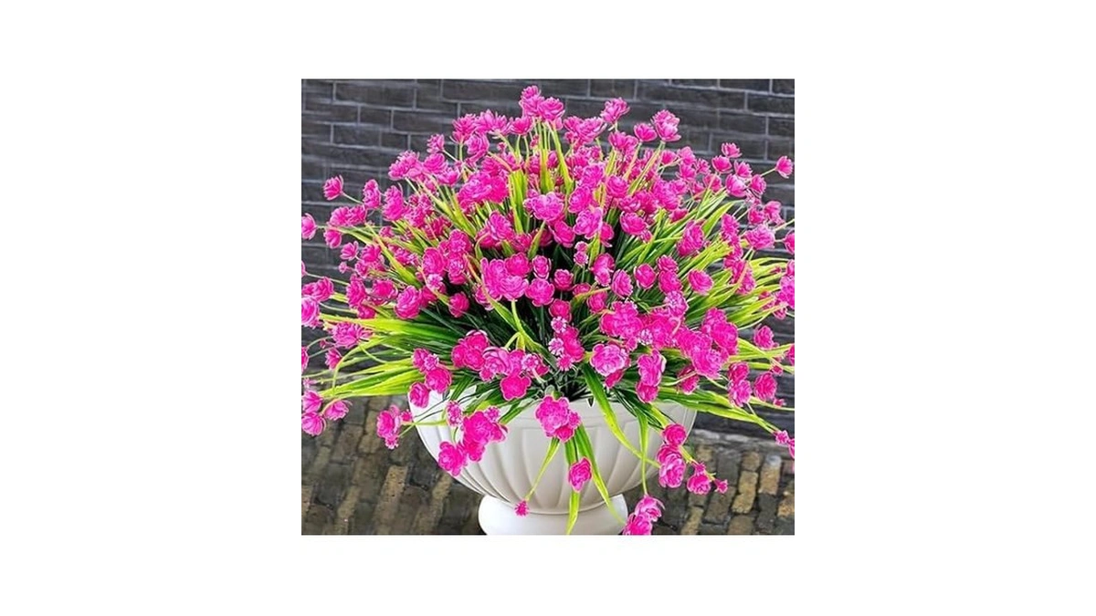 Verified image for post 179968