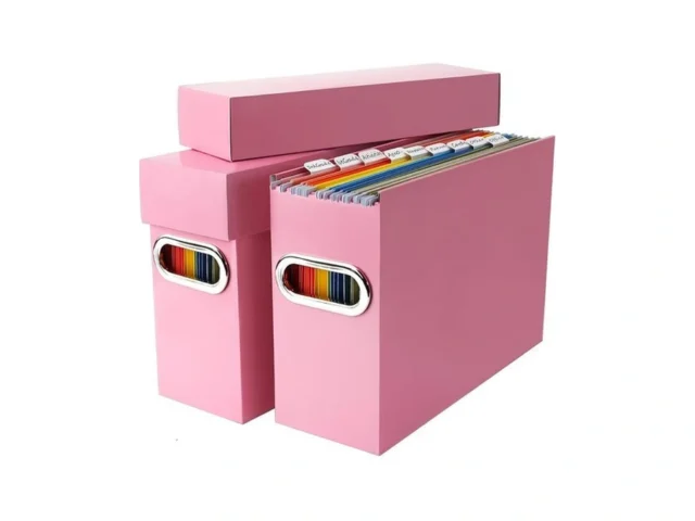 Naleyber File Organizer Box With Lid Handle Heavy… Code