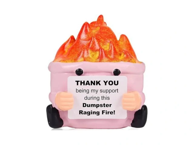 Ttdom Dumpster Fire Desk Accessories Emotional… Coupon
