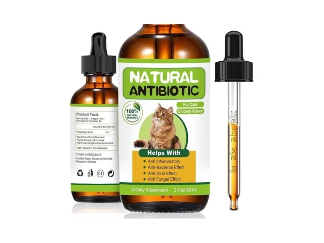Natural Antibiotics For Cats Cat Antibiotic Cats… Coupon