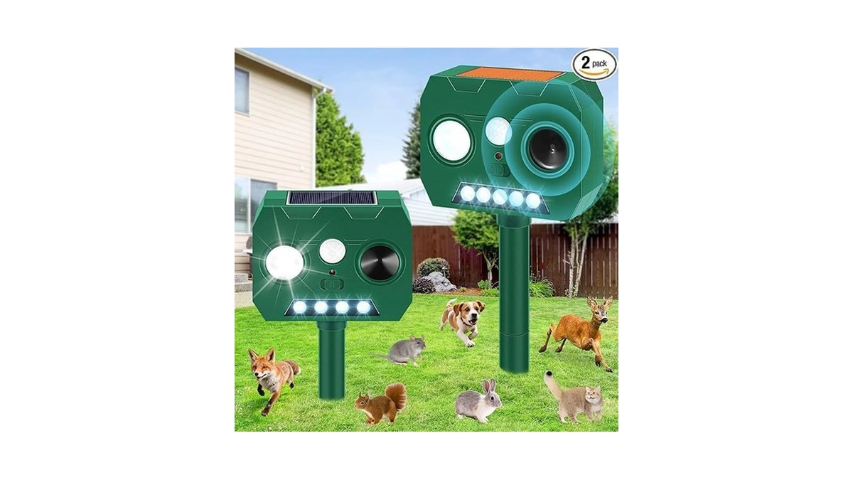 Verified image for post 183350