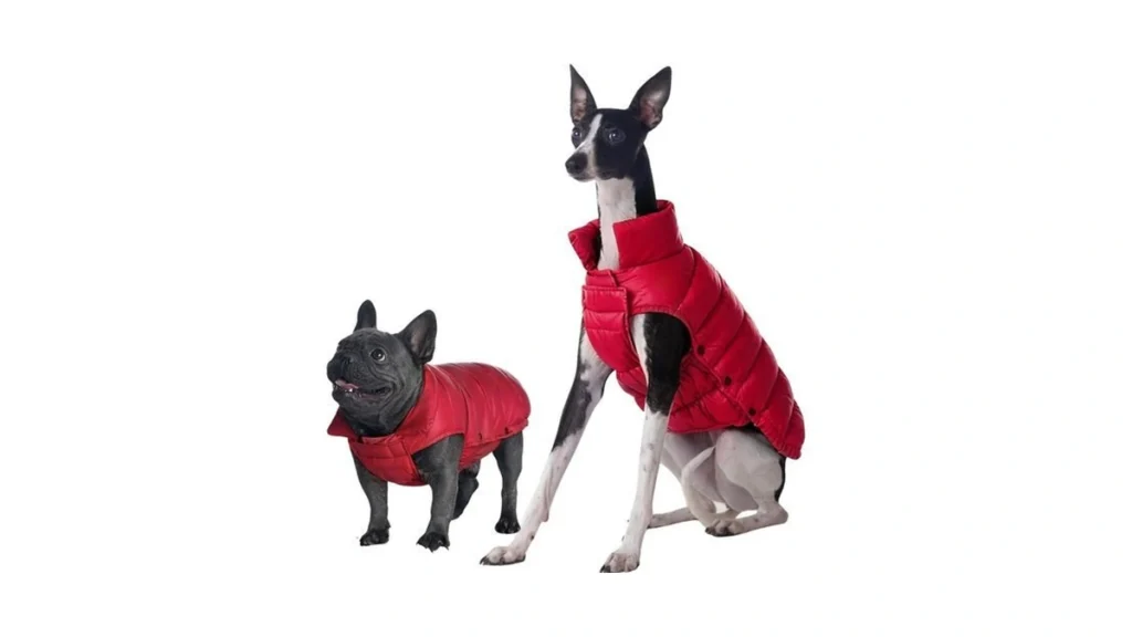 Verified image for post 183384