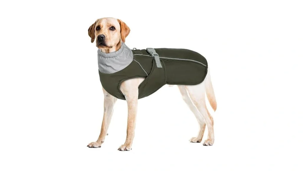 Verified image for post 184280