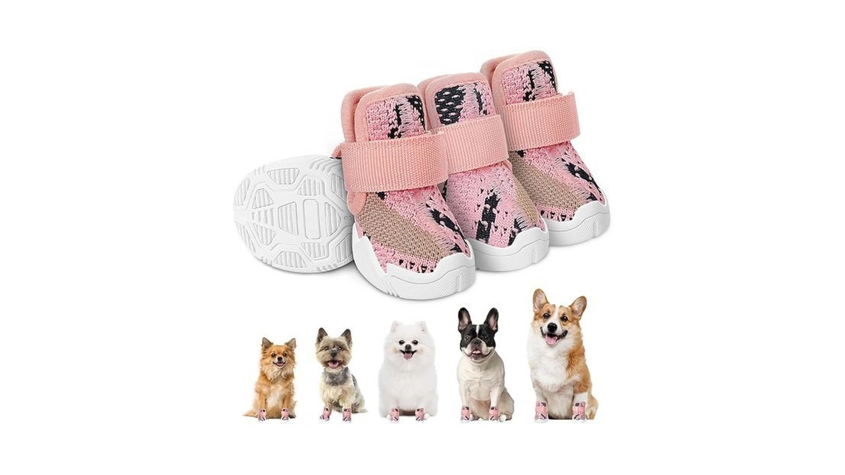 Verified image for post 184440