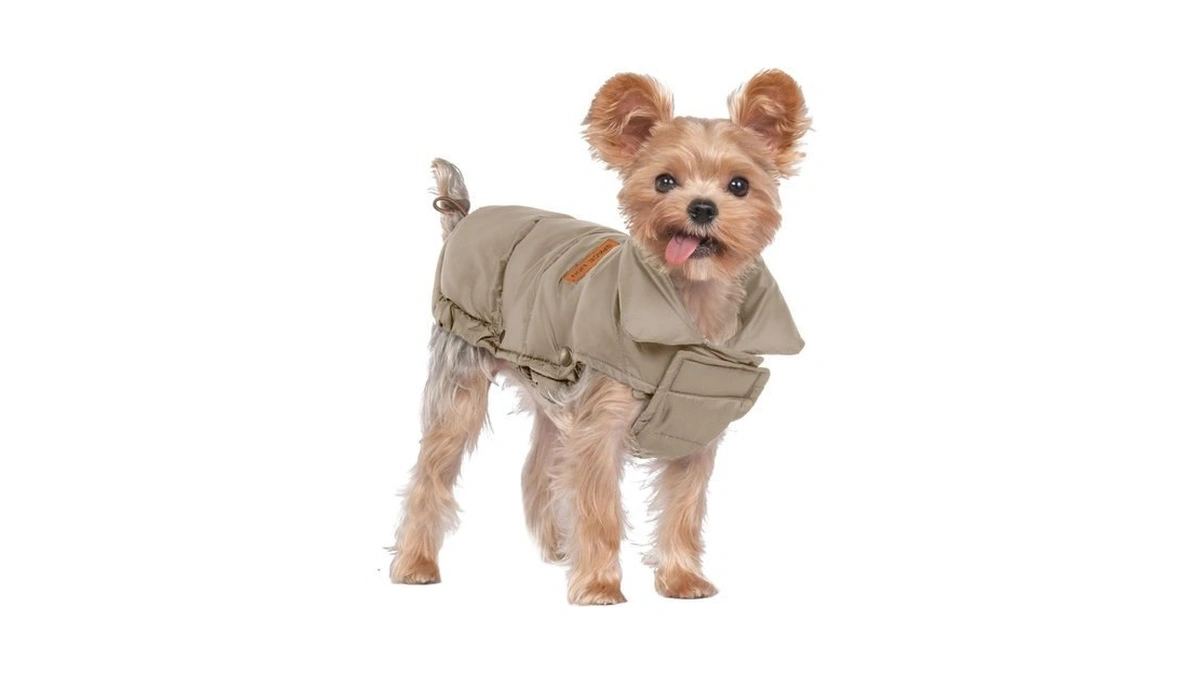 Verified image for post 184688