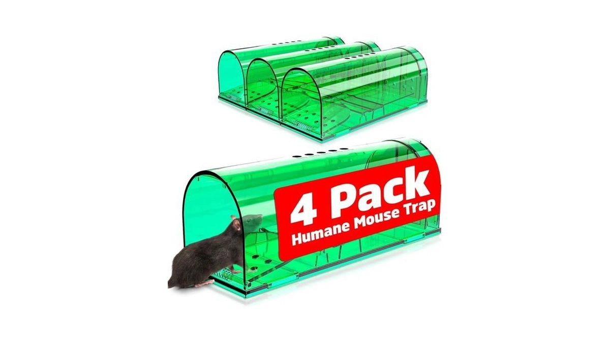 Verified image for post 184762