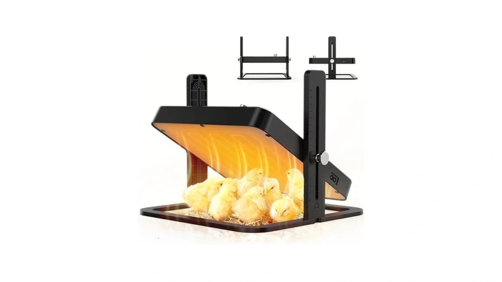 Verified image for post 185638