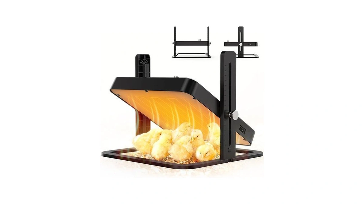 Verified image for post 185638