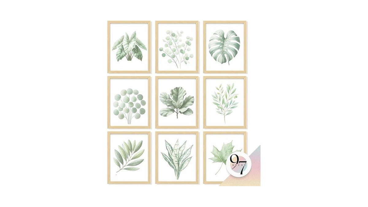 Verified image for post 185906