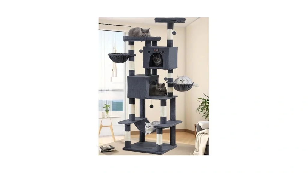 Verified image for post 188030