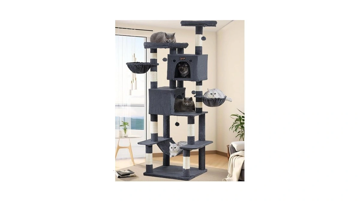 Verified image for post 188030