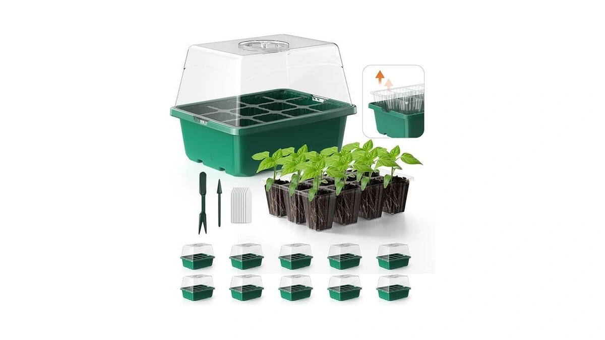 Verified image for post 188158